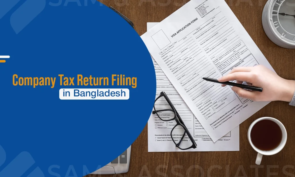 Company Tax Return Filing