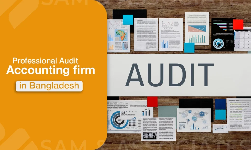 Professional Audit & Assurance Services